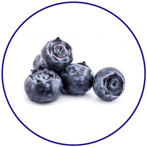 Blueberries