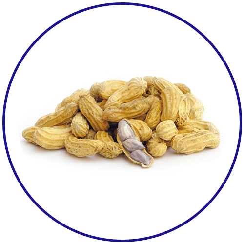 Peanuts