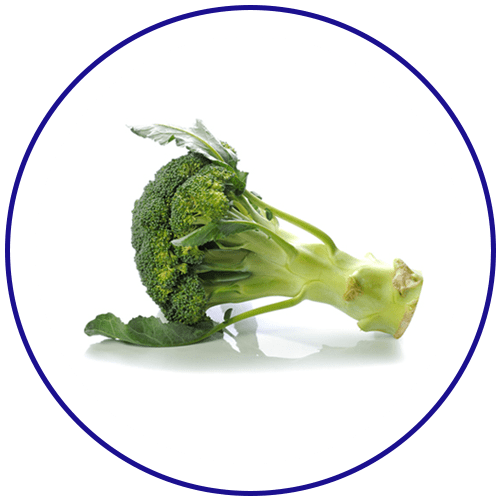 Broccoli