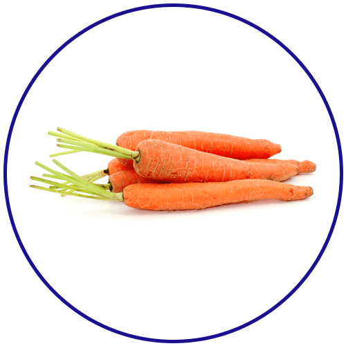 Carrot